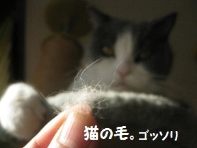hokorin (2).jpg