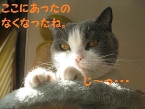 hokorin (3).jpg