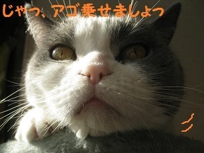 hokorin (4).jpg